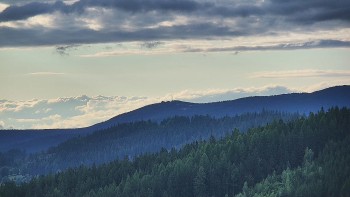Ski areál U Sachovy studánky
