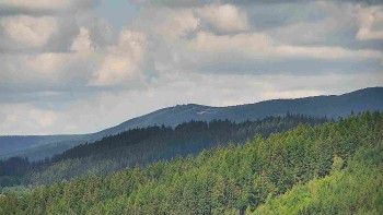 Ski areál U Sachovy studánky