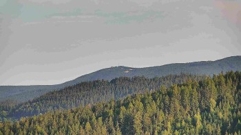 Ski areál U Sachovy studánky