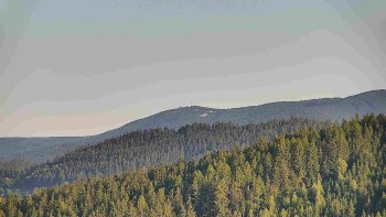 Ski areál U Sachovy studánky