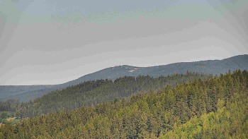Ski areál U Sachovy studánky