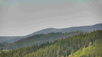 Ski areál U Sachovy studánky