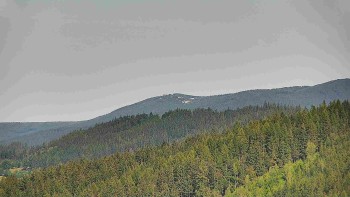 Ski areál U Sachovy studánky
