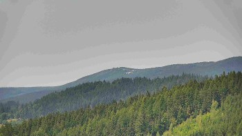 Ski areál U Sachovy studánky