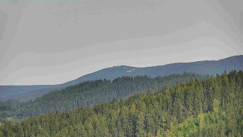 Ski areál U Sachovy studánky