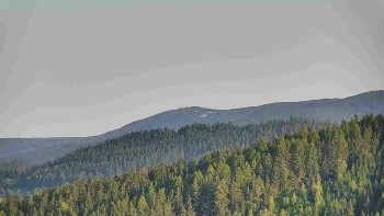Ski areál U Sachovy studánky