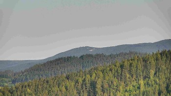 Ski areál U Sachovy studánky