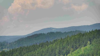 Ski areál U Sachovy studánky