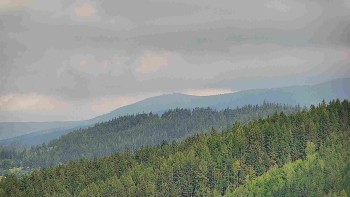 Ski areál U Sachovy studánky
