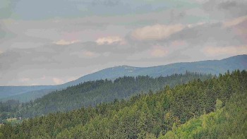 Ski areál U Sachovy studánky
