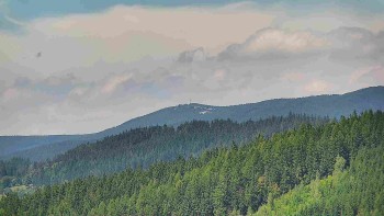 Ski areál U Sachovy studánky