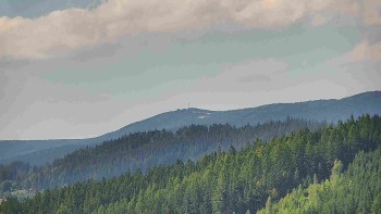 Ski areál U Sachovy studánky