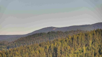 Ski areál U Sachovy studánky
