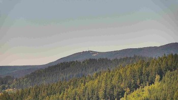 Ski areál U Sachovy studánky