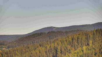 Ski areál U Sachovy studánky