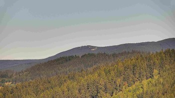 Ski areál U Sachovy studánky