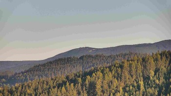 Ski areál U Sachovy studánky