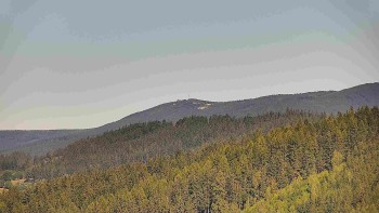Ski areál U Sachovy studánky