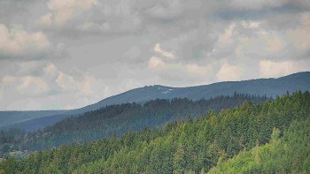 Ski areál U Sachovy studánky