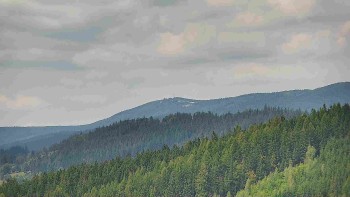 Ski areál U Sachovy studánky