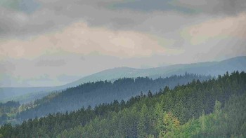 Ski areál U Sachovy studánky
