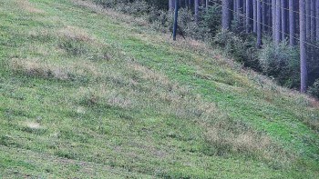 Ski areál U Sachovy studánky