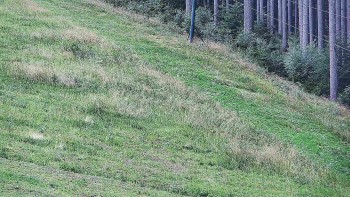 Ski areál U Sachovy studánky