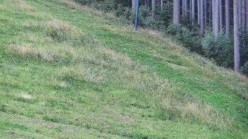 Ski areál U Sachovy studánky