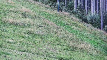 Ski areál U Sachovy studánky