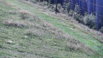 Ski areál U Sachovy studánky