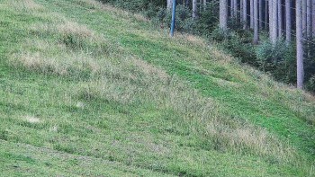 Ski areál U Sachovy studánky