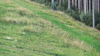 Ski areál U Sachovy studánky