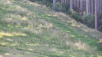 Ski areál U Sachovy studánky