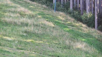 Ski areál U Sachovy studánky