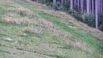 Ski areál U Sachovy studánky