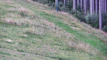 Ski areál U Sachovy studánky