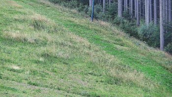 Ski areál U Sachovy studánky