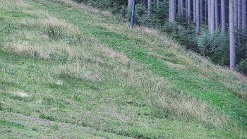 Ski areál U Sachovy studánky