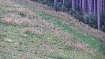 Ski areál U Sachovy studánky