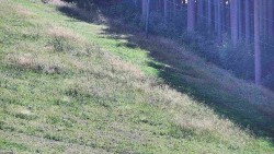 Radhošť