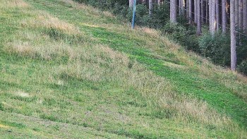 Ski areál U Sachovy studánky