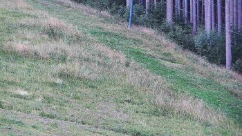 Ski areál U Sachovy studánky