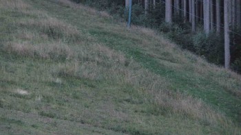 Ski areál U Sachovy studánky