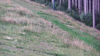 Ski areál U Sachovy studánky
