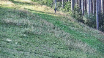 Ski areál U Sachovy studánky