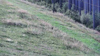 Ski areál U Sachovy studánky