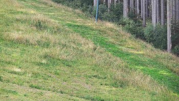 Ski areál U Sachovy studánky