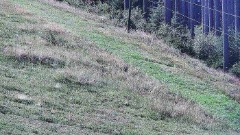 Ski areál U Sachovy studánky