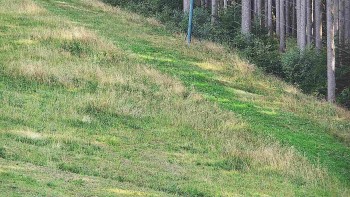 Ski areál U Sachovy studánky
