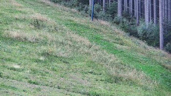 Ski areál U Sachovy studánky